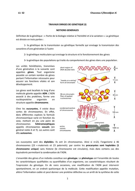 Nonethelium! Un Corpo Gelatinoso Trasparente con Tentacoli che Si Infiltra nel Mare Profondo