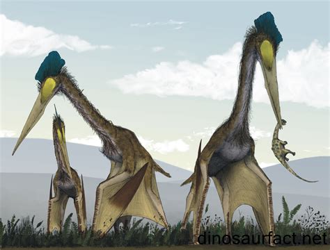  Quetzalcoatlus: Un gigante volante con ali come le ali di un angelo caduto dal cielo!